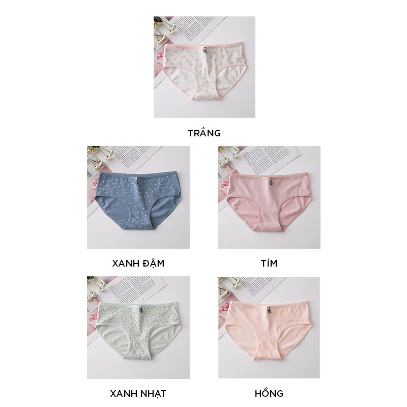 Quần lót nữ cotton cao cấp co giãn kháng khuẩn in hình đáng yêu dễ thương QL58 | BigBuy360 - bigbuy360.vn