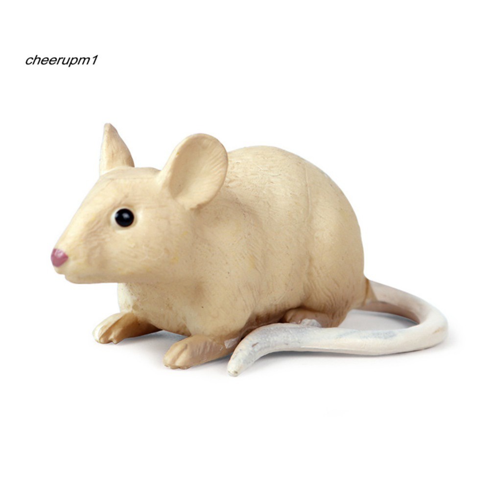 CHEER Toys