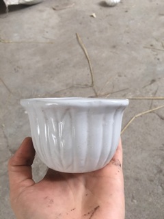 Chậu miệng hoa mini trồng sen đá