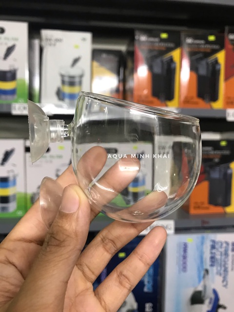 Cốc trồng cây thủy sinh trang trí bể cá cảnh