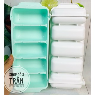 Khay đá bia 5 ngăn tròn HPL50 - Khuôn làm bánh rau cau bằng nhựa nhập khẩu cao cấp HOFACO
