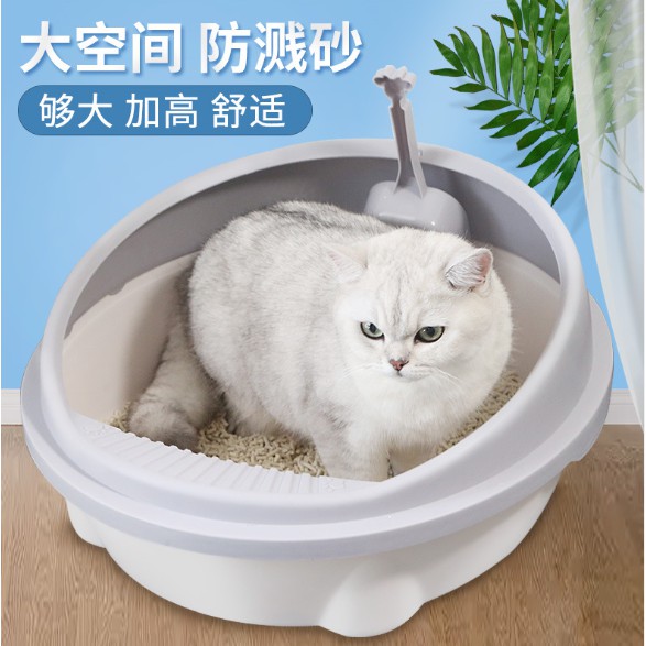 chậu đi vệ sinh cho mèo tặng kèm sẻng- khay chậu chuyên dụng vệ sinh cho mèo màu ngẫu nhiên