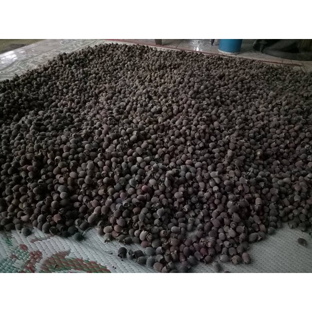 Quả sim rừng khô 1 kg