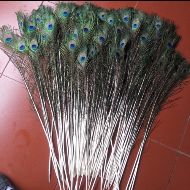 LÔNG CÔNG TỰ NHIÊN PHONG THUỶ