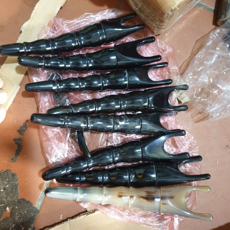 (HOT) Càng cua sừng (bọ cạp sừng đen) nắn chỉnh cột sống