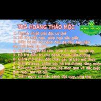 (Combo 3) 5 gói trà HOÀNG THẢO MỘC 500gram