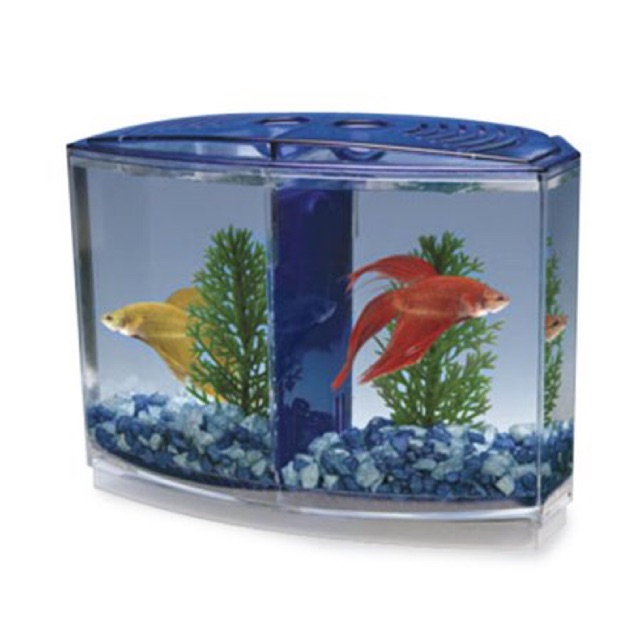 Bể Cá Betta Mini - Hồ Cá Mini Để Bàn Bằng Nhựa Cao Cấp 2 Ngăn
