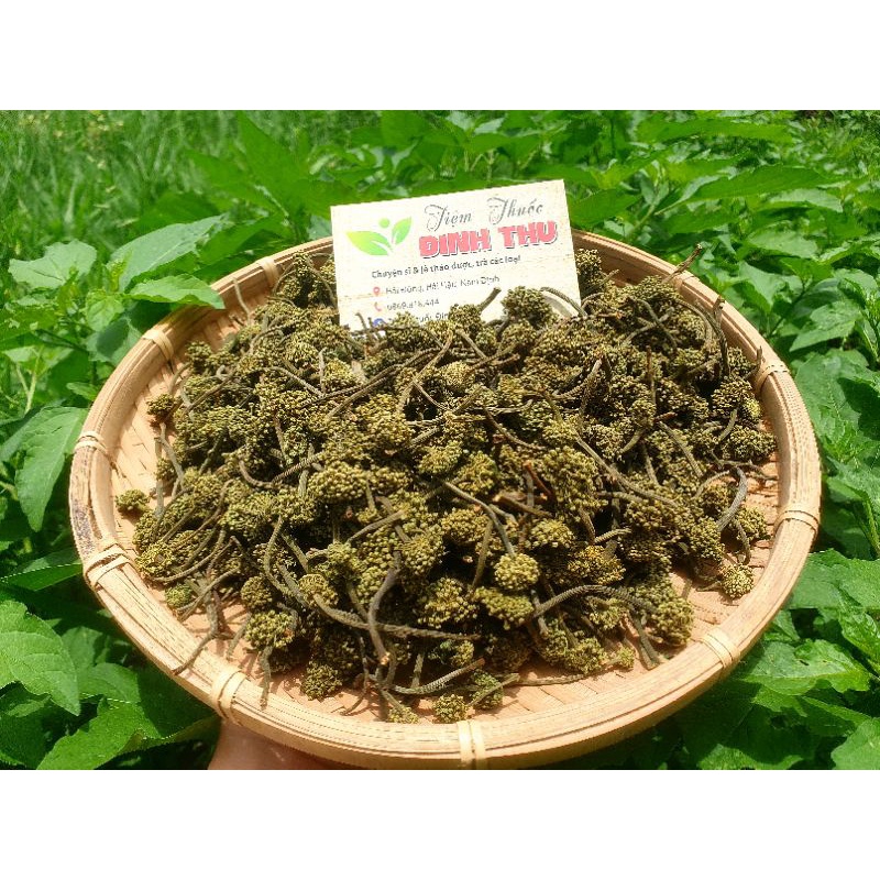 Nụ Hoa Tam Thất Khô (Ảnh Thật 100%)