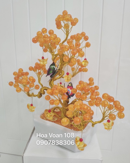 Cây kiểng bằng hột đá cao 30cm