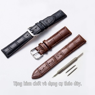 Dây đồng hồ nam