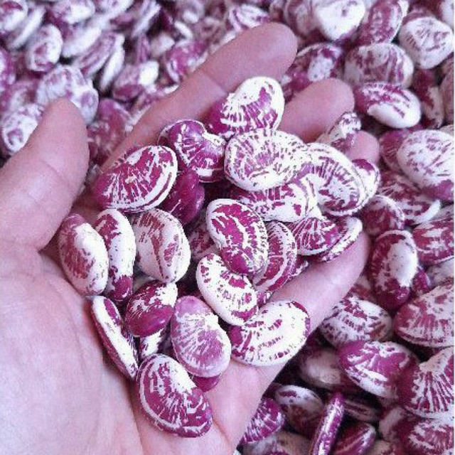 |1KG|Đậu ngự khô Đà Lạt
