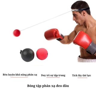Bộ tập phản xạ treo đầu đấm boxing  FX309