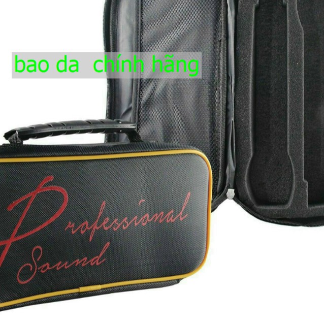 BAO DA ĐỰNG ĐƯỢC 2 MICRO CHO GIA ĐÌNH VA  LOA KÉO
