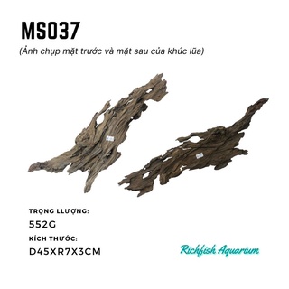 Gỗ lũa dùng setup layout bể cá cảnh thủy sinh từ 30-50cm (Ms036-Ms044)