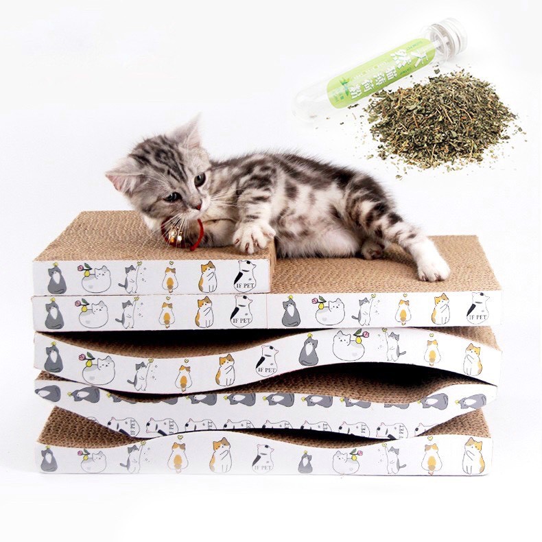 Bàn cào móng cho mèo giảm căng thẳng ( quà tặng cỏ Catnip), đồ cho mèo, đồ chơi cho mèo