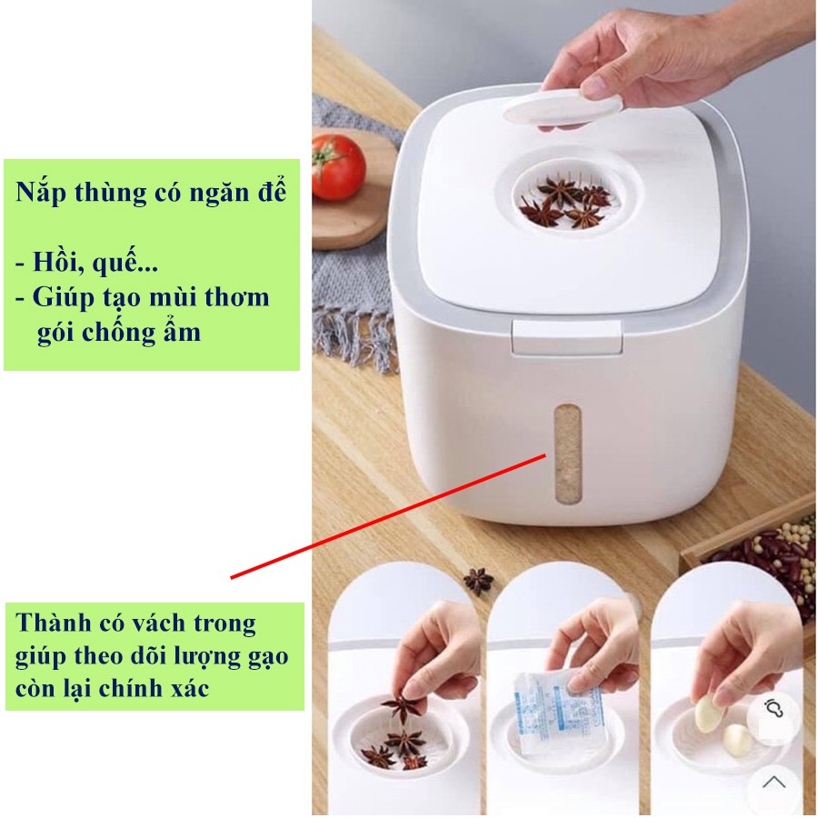 Thùng Gạo Thông Minh  - Thùng Đựng Gạo ECOCO Cao Cấp 5 & 10kg - Chất Liệu ABS &PP An Toàn Chống Nước, Chống Ẩm, Mối Mọt.