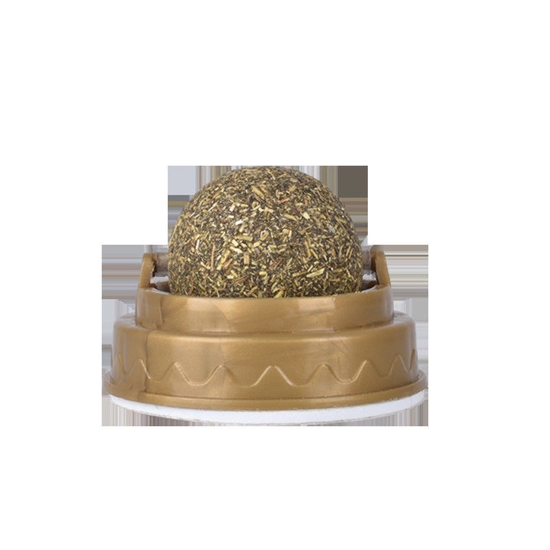 Cỏ moè moe toé hot tiktok treo tường mê li cá rô phi