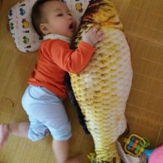 Gối ôm cá chép