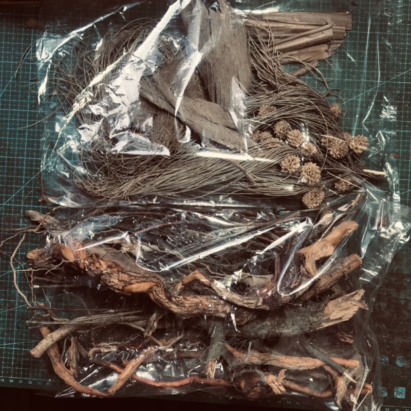 Combo setup, trang trí bể thuỷ sinh, biotop, black water, phong cách tự nhiên