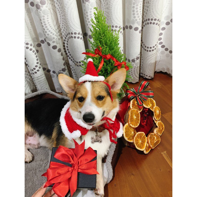 Yếm len cho thú cưng YẾM NOEL handmade cho PET chó, mèo,. thỏ, chuột ú.....