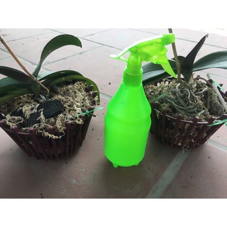 Bình Xịt 2 Trong 1