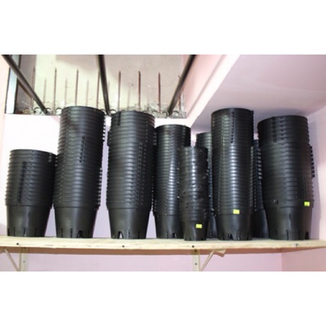 [SIEURE] Combo 10 chậu nhựa trồng lan phi 12 hàng đẹp, phân phối chuyên nghiệp.