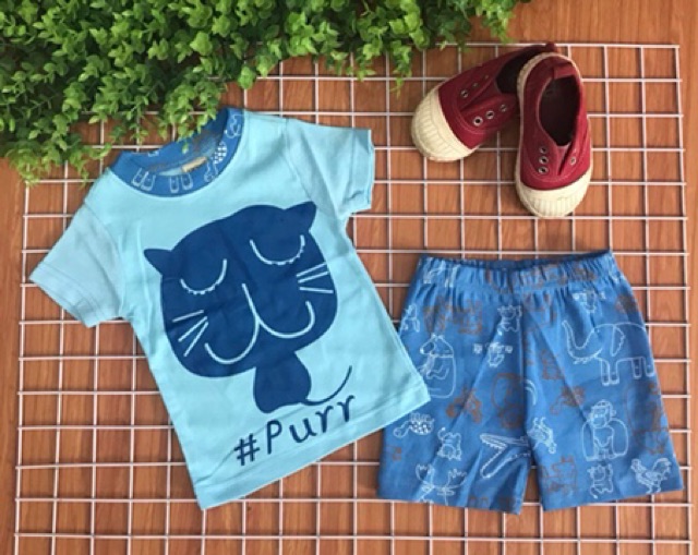 Bộ bozip/borip bé trai cộc tay có mặt sau 8-21 kg (ib chọn màu )