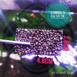 [Combo 3 Giá thể thủy sinh] - trồng Bucep, Ráy - Giá thể trồng cây thủy sinh Darlac's Aquaria