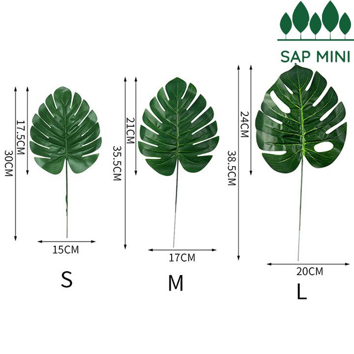 Lá giả - Trầu bà lá xẻ Monstera trang trí nội thất xinh xắn