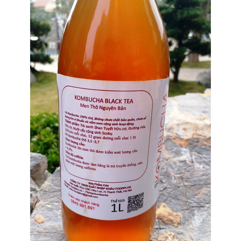 Trà KOMBUCHA BLACK TEA - Nguyên Chất Thô (chuyên dùng cho pha chế tại nhà & quan cà phê, quán bar, trà chanh, trà sữa)