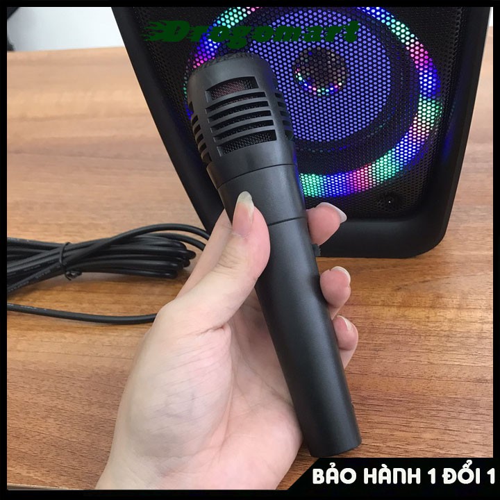 Loa hát karaoke bluetooth di động LZ4206 công suất lớn 2 loa và có bass - Tặng kèm Micro