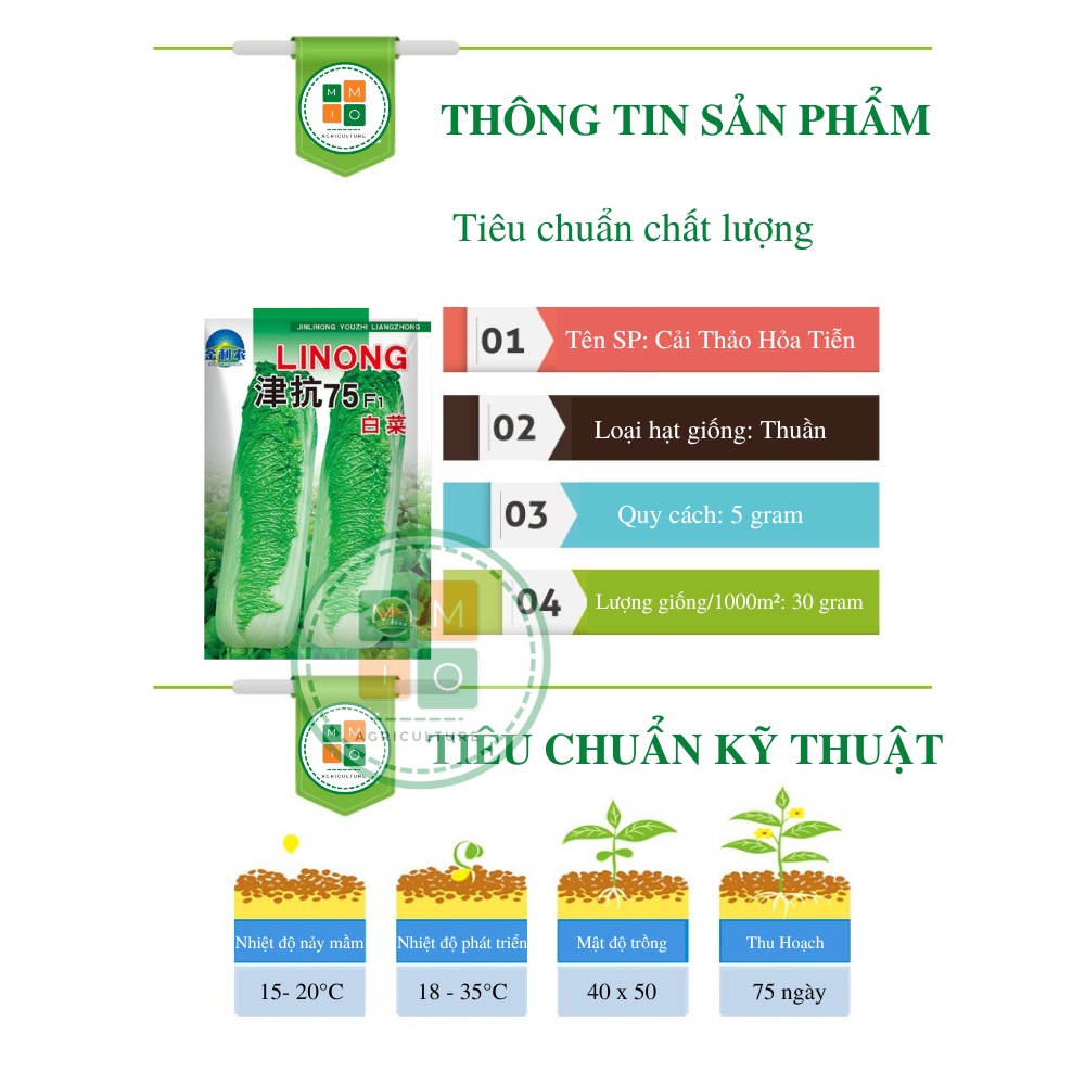 Hạt giống cải thảo hỏa tiễn chịu nhiệt