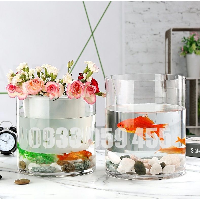 Bình bông lọ hoa thủy tinh trụ tròn, chậu cây thủy sinh, bể cá mini