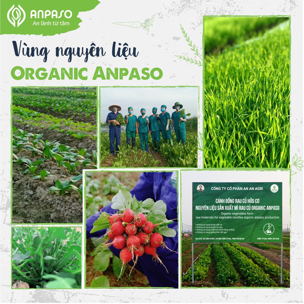 Mì Ăn Dặm Cho Bé Củ Cải Đỏ Và Củ Dền Hữu Cơ Organic Anpaso BLW, kiểu Nhật 7 tháng bổ sung chất xơ cải thiện táo bón 120g