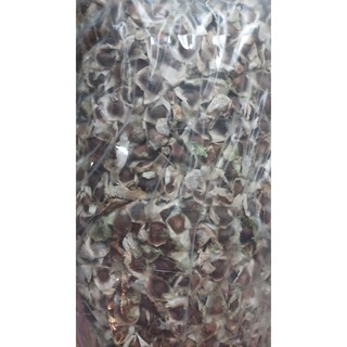 Hạt Giống Chùm Ngây (Moringa seed) 100gr