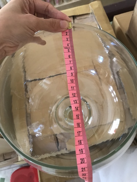 BỂ CÁ CHẬU CÂY THỦY TINH CÓ CHÂN  DK26cm X H30cm- LCĐ