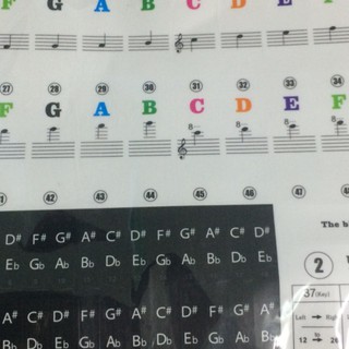 Decal dán phím Piano - Sticker dán phím màu