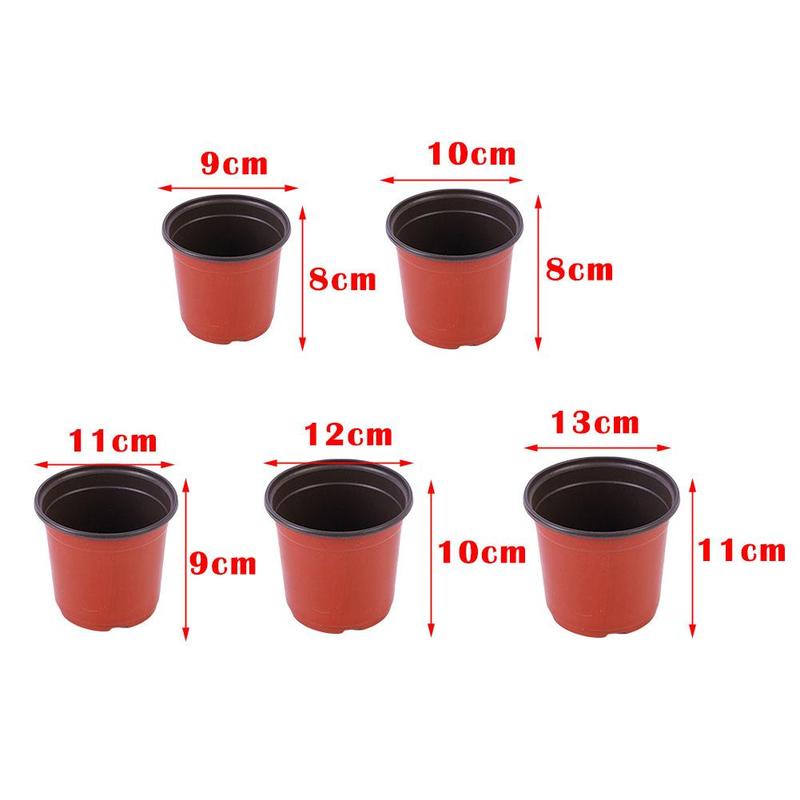 Hộp Nhựa Trồng Cây Mầm Chống Rơi F8B2