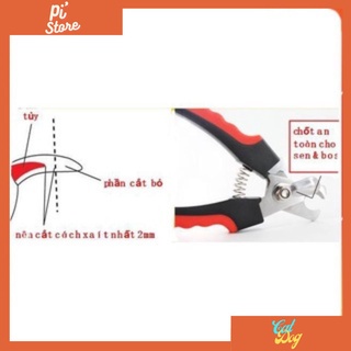 Kìm cắt móng chân cho thú cưng + Dũa móng chân