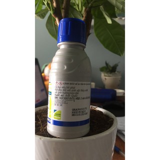 Thuốc trừ bệnh amistar 250sc_100ml