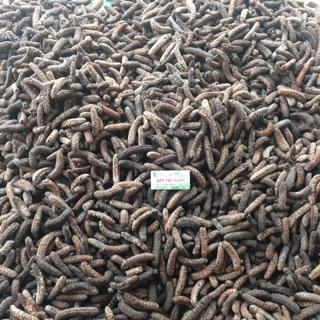 Chuối hột rừng kontum 1kg