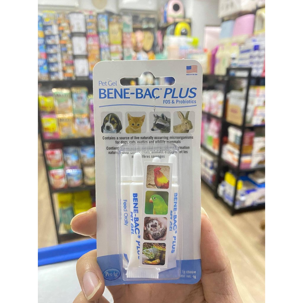 Men Tiêu Hoá BENE-BAC PLUS cho chó mèo