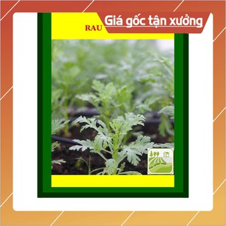 20G - Hạt Giống Rau Tần Ô