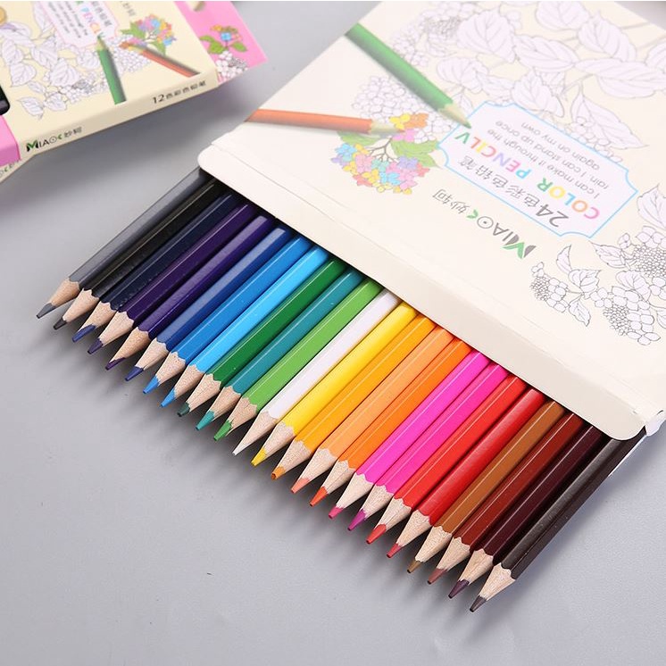 Bộ 12/ 24 bút chì màu vẽ thủ công dành cho trường học H134