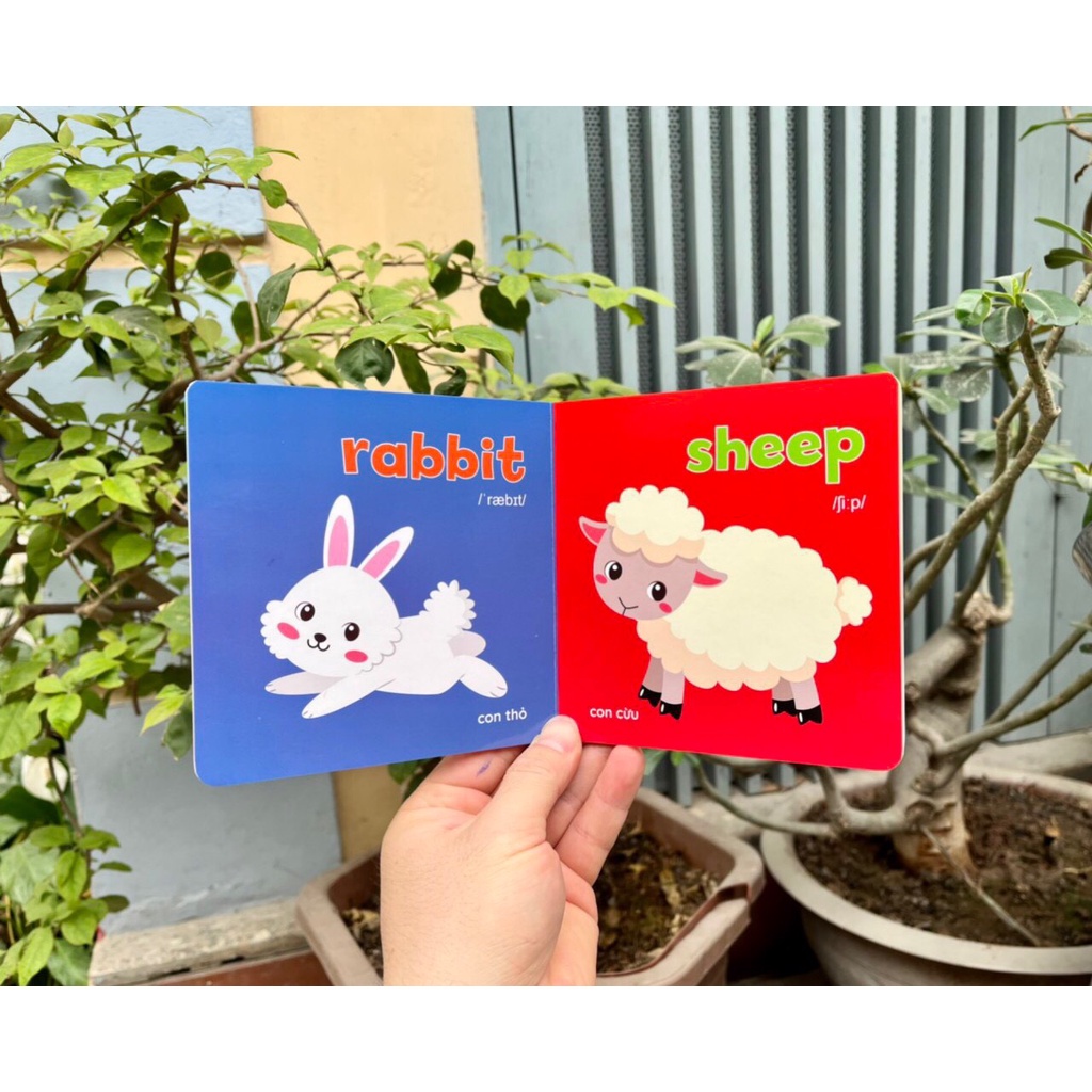 Sách - Thư viện hình ảnh đầu tiên Baby's First Picture Book