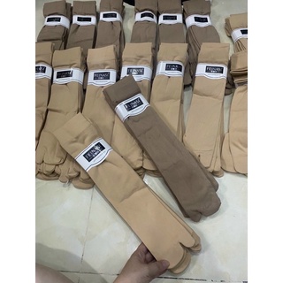 Lố 10 đôi vớ chân loại cao tới đầu gối thun xịn dày