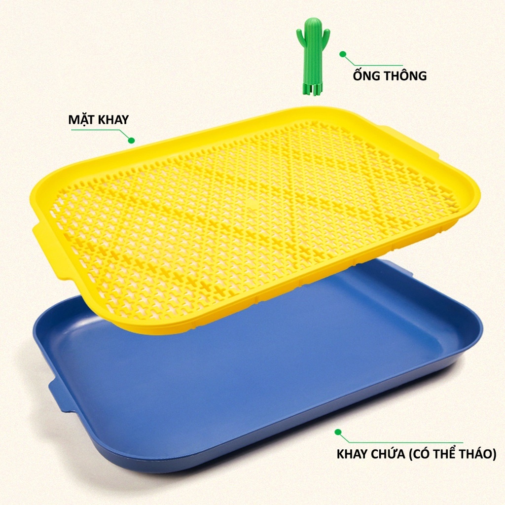 KHAY VỆ SINH CHO CHÓ SIZE LỚN 64x47cm