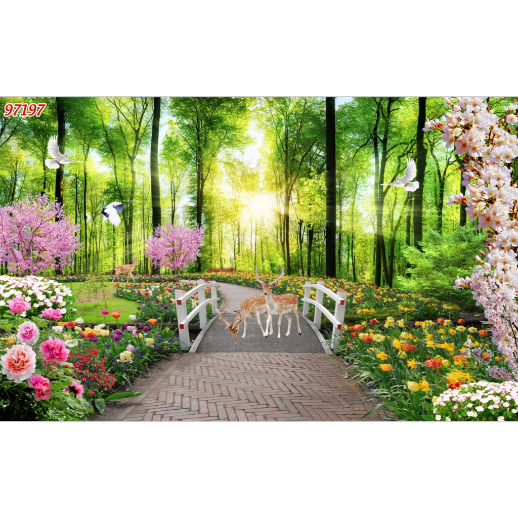 Tranh dán tường ao hoa sen nở rộ cực kỳ đẹp, phù hợp với nhiều không gian trong nhà