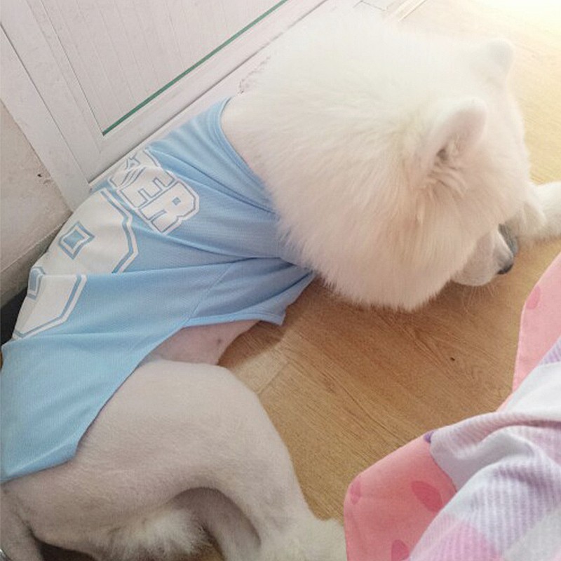 Quần áo cho chó Samoyed Golden Retriever mùa hè Shiba Inu chó trung bình chó lớn