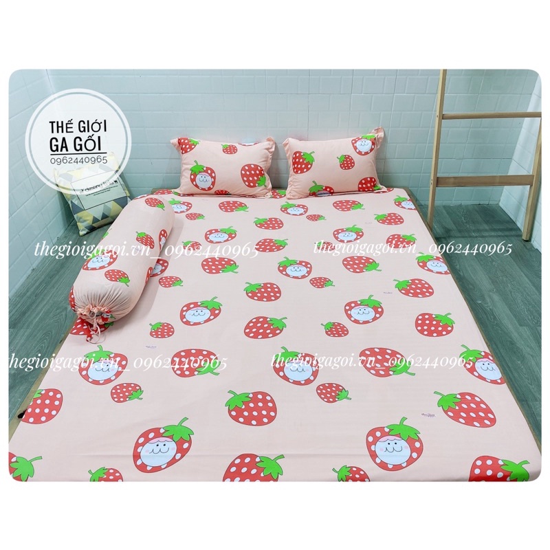 Bộ Drap Thun Lạnh Hàn Quốc 4 món